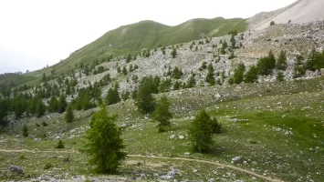 Ligne Maginot - PITON JAUNE - (Observatoire d'infanterie) - Vue arrière