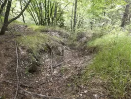 Ligne Maginot - RAVIN DE GAZOUIL - (Abri) - Environnement: Le point d'appui 