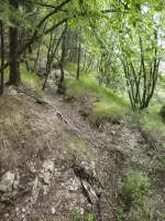 Ligne Maginot - RAVIN DE GAZOUIL - (Abri) - Environnement: Le point d'appui 