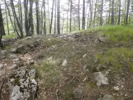 Ligne Maginot - RAVIN DE GAZOUIL - (Abri) - Environnement: Le point d'appui 