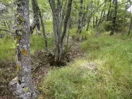 Ligne Maginot - RAVIN DE GAZOUIL - (Abri) - Environnement: Le point d'appui 