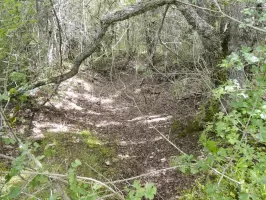 Ligne Maginot - SEGRA - BORRIGO - (Position d'artillerie préparée) - Encuvement