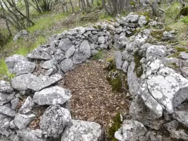 Ligne Maginot - MONT OURS EST - (Abri) - Environnement