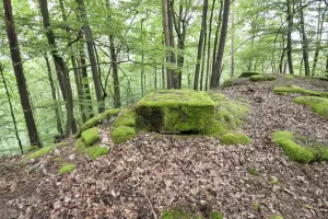 Ligne Maginot - DACHSECK - (Observatoire d'infanterie) - 