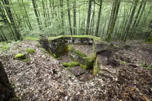 Ligne Maginot - DACHSECK 3 - (Cuve pour arme d'infanterie) - 