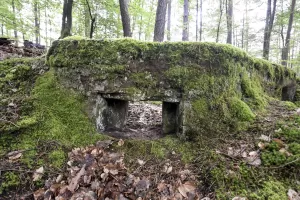 Ligne Maginot - DACHSECK 3 - (Cuve pour arme d'infanterie) - 