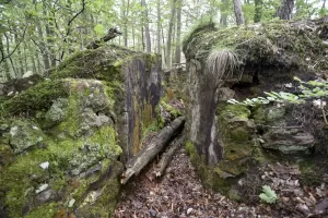 Ligne Maginot - DACHSECK 3 - (Cuve pour arme d'infanterie) - L'entrée