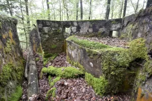 Ligne Maginot - DACHSECK 3 - (Cuve pour arme d'infanterie) - 