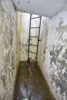 Ligne Maginot - C31 - (Chambre de coupure) - 