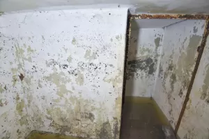 Ligne Maginot - C31 - (Chambre de coupure) - 