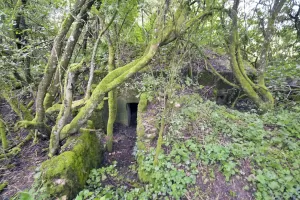 Ligne Maginot - LANGEN EST - (Blockhaus pour arme infanterie) - 