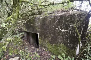 Ligne Maginot - AB310 - LANGEN OUEST - (Blockhaus pour canon) - 