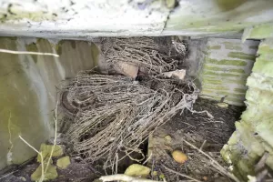 Ligne Maginot - AB310 - LANGEN OUEST - (Blockhaus pour canon) - L'intérieur de l'annexe