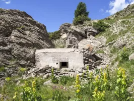 Ligne Maginot - PA 2018 - (Blockhaus pour arme infanterie) - Vue du blockhaus orienté vers Rouchouze