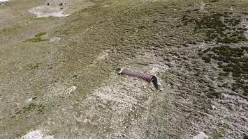 Ligne Maginot - COL DE BARTEAUX ABRI 2 - (Abri) - Abris 2 et 1