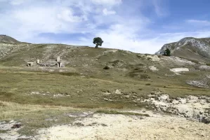 Ligne Maginot - COL DE BARTEAUX NORD - (Abri) - Vue générale des 2 abris