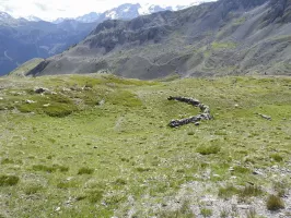 Ligne Maginot - COL DE CRISTOL (1° CM / 82° BAF) - (PC) - Un emplacement pour tentes Marabout à proximité de l'abri