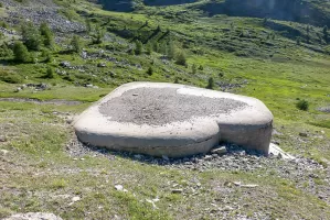Ligne Maginot - COL DE GRANON - (Ouvrage d'infanterie) - Bloc 1
Vue de dessus 