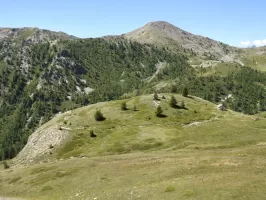 Ligne Maginot - COL DE GRANON - (Ouvrage d'infanterie) - Environnement: position d'infanterie