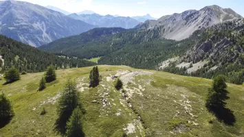 Ligne Maginot - COL DE GRANON - (Ouvrage d'infanterie) - Environnement: position d'infanterie