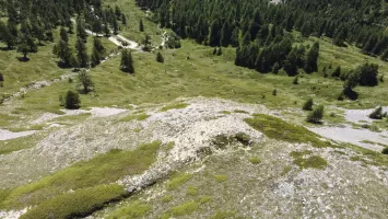 Ligne Maginot - COL DE GRANON - (Ouvrage d'infanterie) - Environnement: position d'infanterie