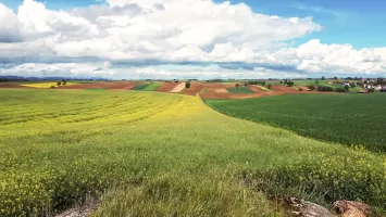 Ligne Maginot - EICHELBERG SUD - RAVIN MICONNET - (Blockhaus pour canon) - Direction de tir du Blockhaus, sur le thalweg montant d'Aschbach