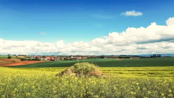 Ligne Maginot - EICHELBERG NORD - (Blockhaus pour canon) - Direction de tir au nord-est, vers Aschbach