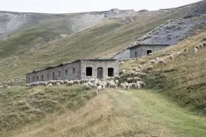 Ligne Maginot - LENLON (L'ENLON) - (Blockhaus pour arme infanterie) - Casernement de l'Enlon