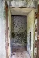 Ligne Maginot - BIESENBERG 1 - (Blockhaus pour arme infanterie) - Entrée