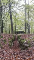 Ligne Maginot - BIESENBERG 4 - (Blockhaus pour arme infanterie) - Tranchée de liaison entre les deux blocs