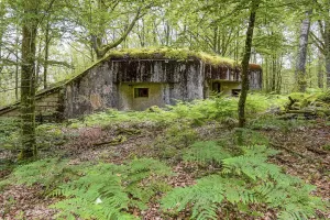 Ligne Maginot - BIESENBERG 4 - (Blockhaus pour arme infanterie) - Vue extérieure