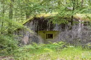 Ligne Maginot - BIESENBERG 4 - (Blockhaus pour arme infanterie) - Vue extérieure