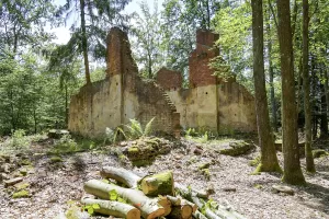 Ligne Maginot - BIESENBERG - (Casernement) - Ruines du casernement