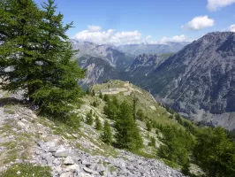 Ligne Maginot - L'OLIVE (BATTERIE CAVERNE) - (Position d'artillerie préparée) - 