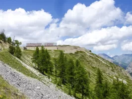 Ligne Maginot - L'OLIVE (BATTERIE CAVERNE) - (Position d'artillerie préparée) - 