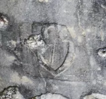 Ligne Maginot - E2 - EZE VOIE FERREE - (Blockhaus pour arme infanterie) - L'écusson du 7° Génie