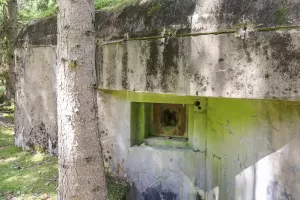Ligne Maginot - BIESENBERG 1 - (Blockhaus pour arme infanterie) - Face est
