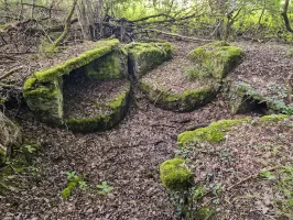 Ligne Maginot - SPITZWALD - (Cuve pour arme d'infanterie) - Depuis l'autre côté