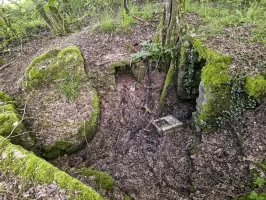 Ligne Maginot - SPITZWALD - (Cuve pour arme d'infanterie) - Vue générale de la cuve avec l'abri et la petite niche à munitions