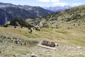 Ligne Maginot - BLANCHE 6 - (Abri) - 