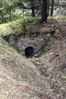 Ligne Maginot - BOIS DES BANS - (Divers) - Tranchée, abri tunnel