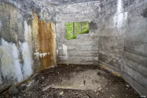 Ligne Maginot - BOIS DE SESTRIERES 1 - (Blockhaus pour canon) - 