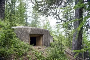 Ligne Maginot - BOIS DE SESTRIERES 2 - (Blockhaus pour arme infanterie) - 