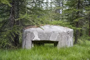 Ligne Maginot - BOIS DE SESTRIERES 6 - (Blockhaus pour canon) - 