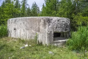 Ligne Maginot - BOIS DE SESTRIERES 7 - (Blockhaus pour canon) - 