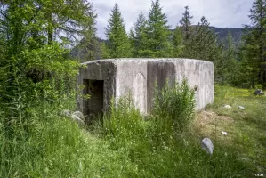 Ligne Maginot - BOIS DE SESTRIERES 7 - (Blockhaus pour canon) - 