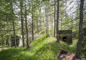 Ligne Maginot - BOIS DE SESTRIERES 9 - (Abri) - Les entrées