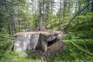Ligne Maginot - BOIS DE SESTRIERES 9 - (Abri) - 