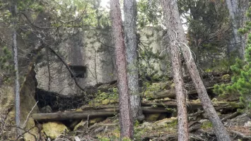 Ligne Maginot - CLOT DU POIN 1 - (Blockhaus pour arme infanterie) - Le bloc vu à travers les arbres depuis le chemin du Vallon