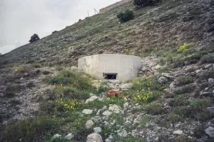 Ligne Maginot - JANUS SUD 1 - (Blockhaus pour arme infanterie) - 